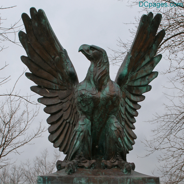 Commemorative Eagle