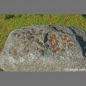 Lincoln Pennies on Grave Marker
