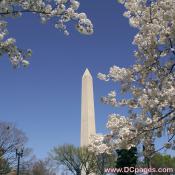 Washington-Monument-03-31-10-A