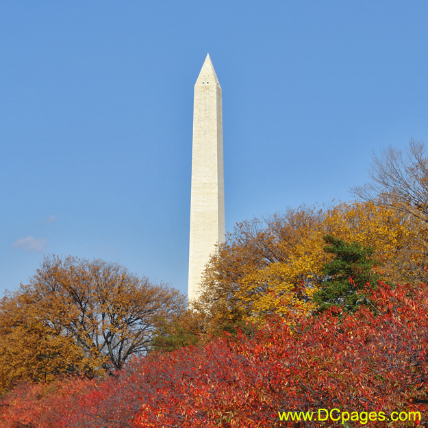 View of Washington Monument during Autumn.