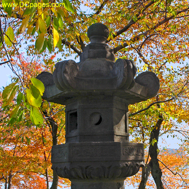Yoshino cherry tree foliage surround Japanesse lantern.