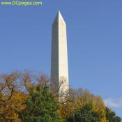 Fall foliage in front of Wasington Monument.