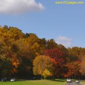 George Washington Parkway during Autumn season.