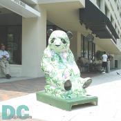 Can you see it? "Hide 'n' Seek" by Victoria Palley is taking a rest at STARBUCKS on 1301 Pennsylvania Ave., N.W.