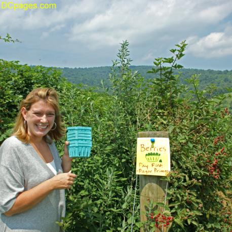 Pick Your Own Farms in Northern Virginia