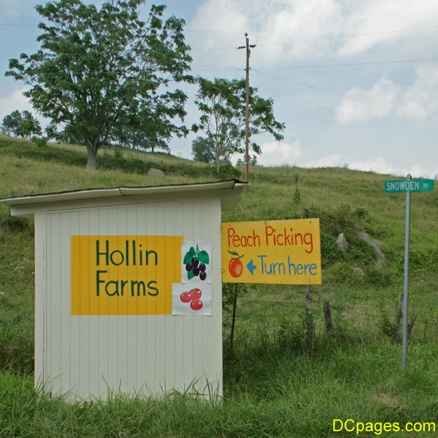 Hollin Farm offers many, MANY fruits and vegetables.