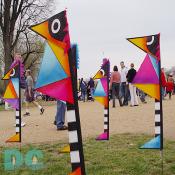 Smithsonian Kite Festival - Decorative Flags