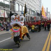 The Lions Dance during Chinese New Year celebrations