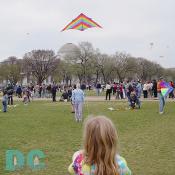 Smithsonian Kite Festival - Kite Launch