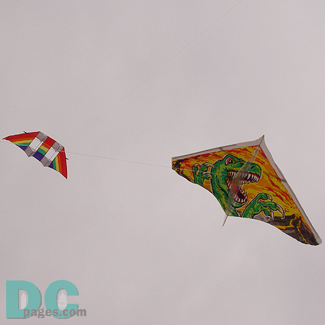Smithsonian Kite Festival - Kites in the air.