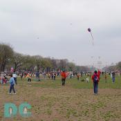 Smithsonian Kite Festival - Kites everywhere