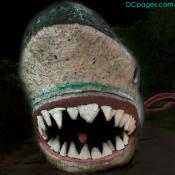 Luke Jr. in the mouth of a giant shark