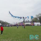 Smithsonian Kite Festival - String of Kites - Flying Nations