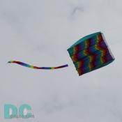 Smithsonian Kite Festival - Kite in the air