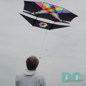 Smithsonian Kite Festival - Kite in the air