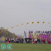 Smithsonian Kite Festival - String of kites