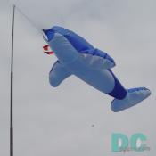 Smithsonian Kite Festival - Dolphin kite