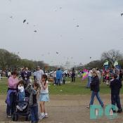 Smithsonian Kite Festival - Kites everywhere