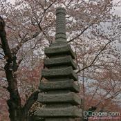 Stone Japanese Pagoda