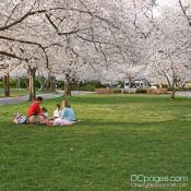 Picnicking in Kenwood