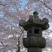 360 year old stone lantern from Japan