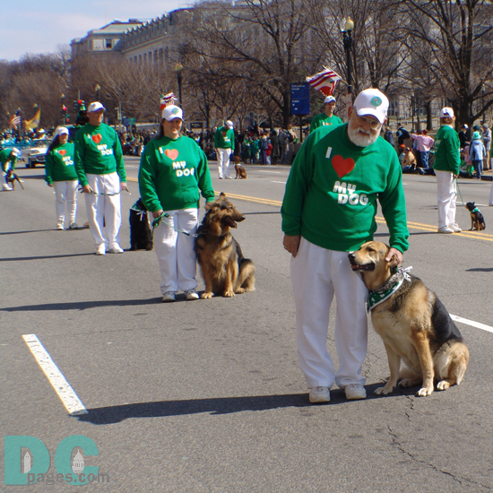 St. Patricks Day parade - These people love their rescued dogs. They are sooo cute and fuzzy.