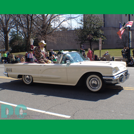 Saint Patrick's Day Parade - A world famous Washington Redskins, Hogette, waves to the crowd from a historic Ford Thunderbird convertible.