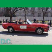 National St. Patricks Day Parade -Division C Marshalls - Tom and Gary Stack