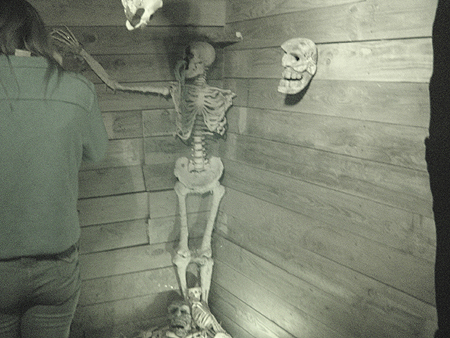  
Rumor has it that some of the skeletons would animate and drag guests to the Netherworld.
