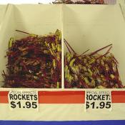 Look how great the prices of these rockets are,in these bins