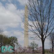 View of Washington Monument from the Thomas Jefferson Tidal Basin.
