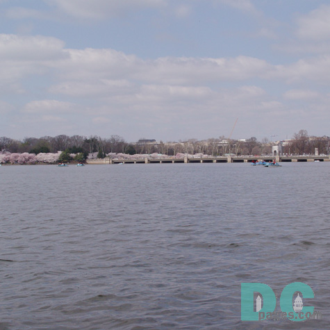 The Tidal Basin is an artificial inlet created in the late 19th century.