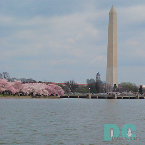 Paddle boating gives your a different perspective of the Washington Monument that few others see.