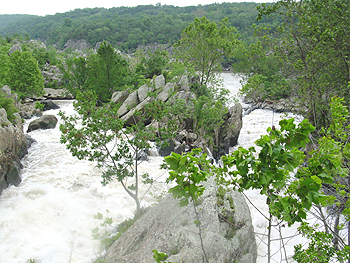 The falls are actually composed of several parts as the Potomac divides into several channels at this spot.
