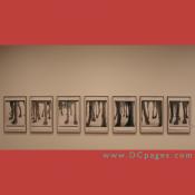 Third Floor - Special Exhibitions - a row of photos of dog legs