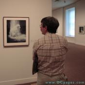 Third Floor - Special Exhibitions - Rain coming cascading over the dog