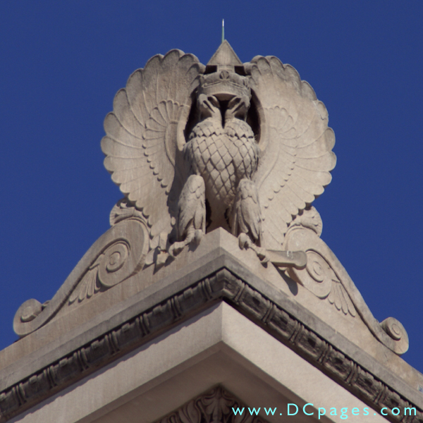 The double-headed eagle, the chief symbol of Scottish Rite is located on all the outside corners of the Scottish Temple. The crown represents the 33 degree level Mason. There is a subtle design element in shape of the wings which mimic the palmette (palm leaf) pattern that can be seen throughout the building.