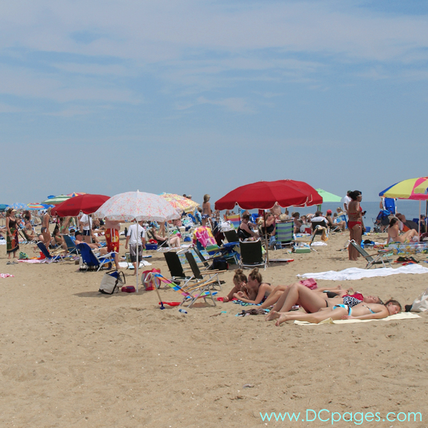 Ocean City - Remember to bring suncreen to protect your skin against the harmful effects of the sun's ultraviolet (UV) rays.