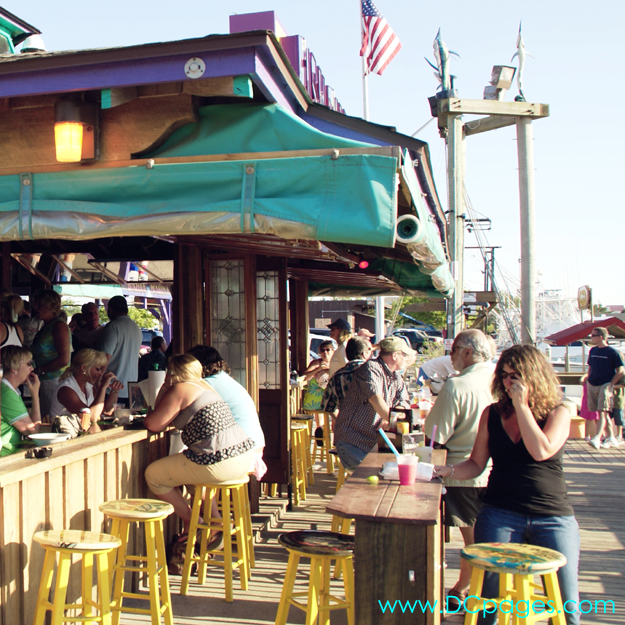 Ocean City - At Fish Tales you can come for lunch on our beach and sink your toes in the sand. 