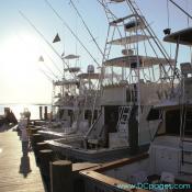 Ocean City - You can also watch the offshore boats unload the day's catch. 
