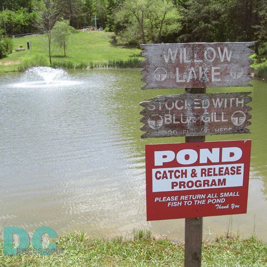 Willow Lake is stocked with Blue Gill and fish indigionous to the Shennendoah Mountains. The resort has a catch and release program so everyone can enjoy the thrill of catching a fish.