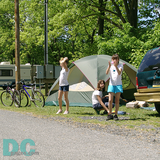 Membership at North Fork resort is the gift of a lifetime of camping adventures for childrent to enjoy. Tel.540.636.2995