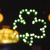 The Shamrock lights seemed a tad blurred looking through bottom of empty glass. Time to get another Guiness.