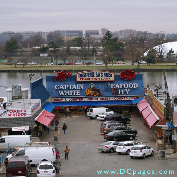 Aerial view of open-air family owned floating barges which are cooperatively known as the Washington DC Fish Market located in Southwest DC.