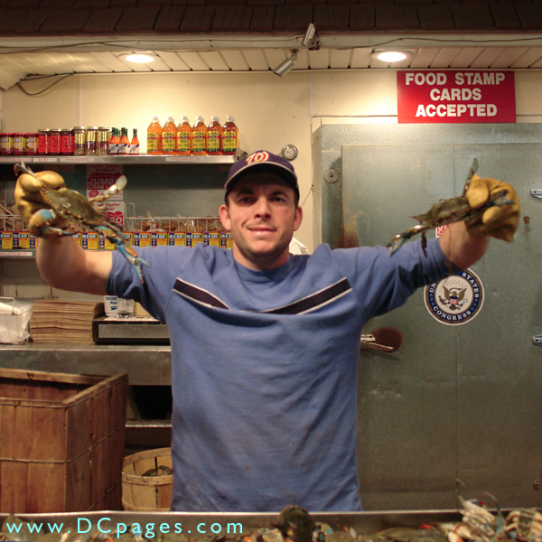 "Live crabs!" The most famous and sought-after item at the Fish Market is the "Chesapeake Bay blue crab." 