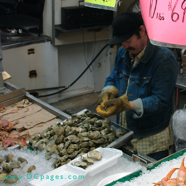 Oyster shucker. Order up a paper plate of fresh oysters, with a dash of Tabasco and let 'em slide down raw.