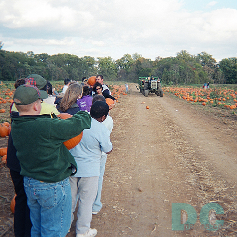 Now its time to take your perfect pumpkin back home. Here is your tractor coming