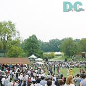 Once a year DC area Japanese communities get together to celebrate the coming of autumn with great entertainment. People had lots of fun with Japanese food, traditional toys and performances. 