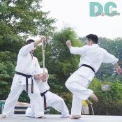 The master of Kyokushin Karate New York City was trying to break a baseball bat by his strong kick. 