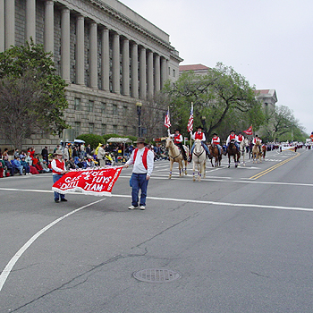 2003 Cherry Blossom Festival: A local drill team takes part in the celebration.  
